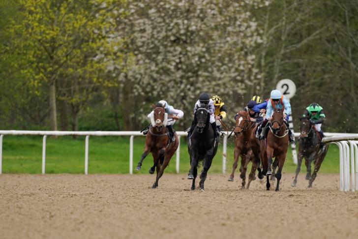 Sábado 23 de noviembre: Yorkshire, principal apuesta para Wolverhampton 6