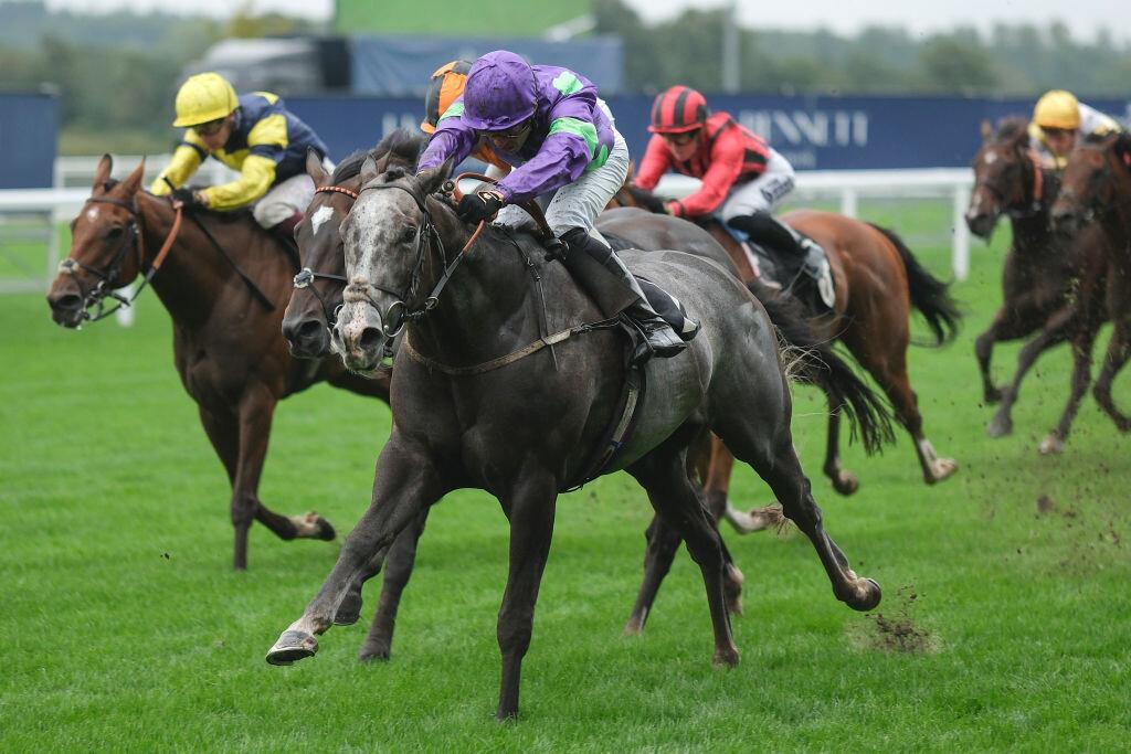 Kabral Du Mathan, nuestro favorito en Ascot a cuotaza de 5.0