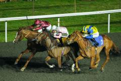 Tripoli Flyer, nuestro favorito este sábado para Kempton... ¡a cuota 3.8!
