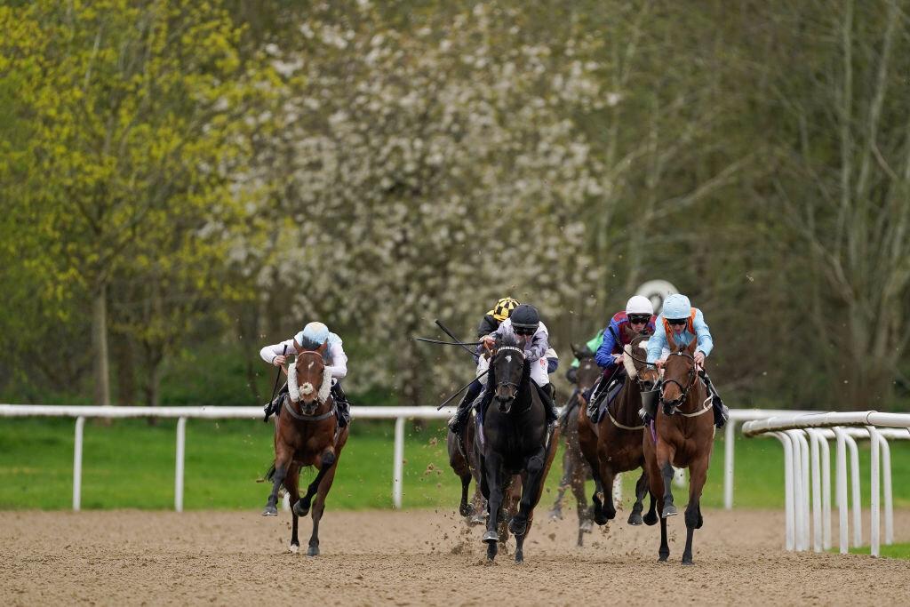 Kylian, el caballo a seguir este sábado en Wolverhampton