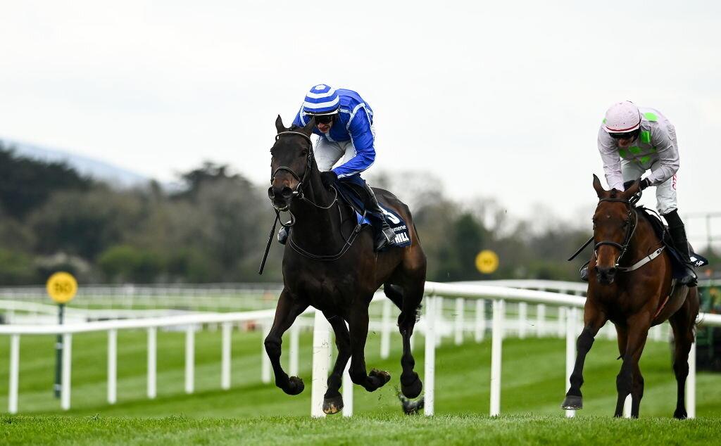 Energumene, a cuota 2.88 para reinar este sábado en Ascot