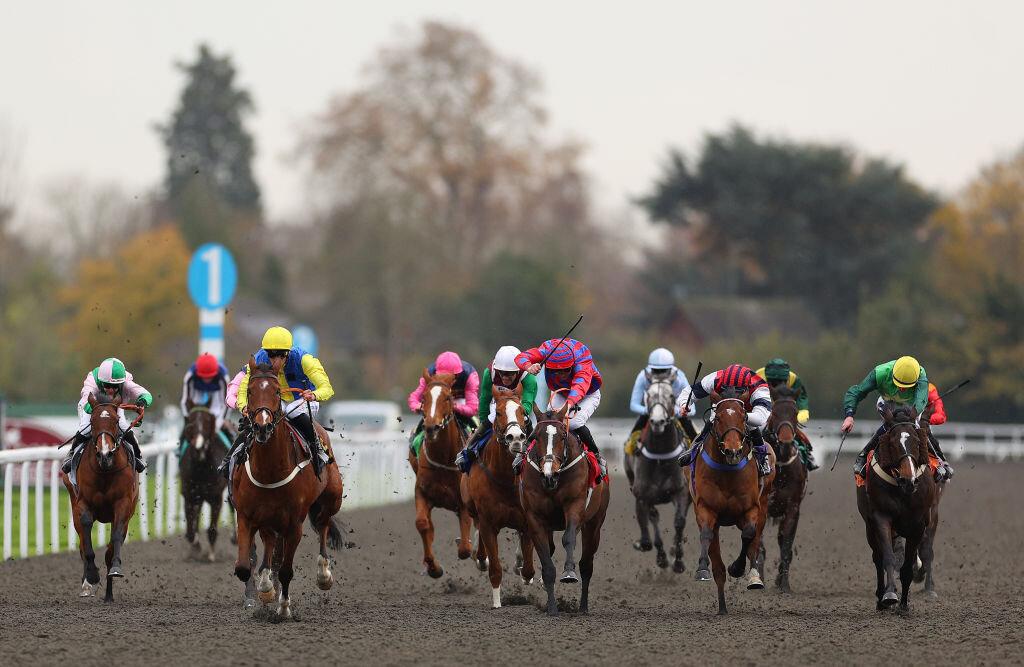 Haku, el caballo favorito para ganar en Southwell 8