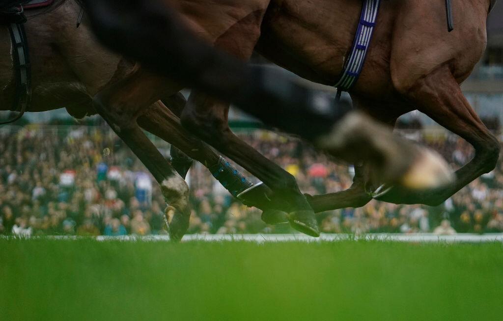 Cuotaza para la victoria de Handstands en Sandown Park - 1 de febrero de 2025