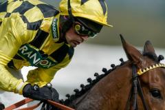 Sir Gino, la apuesta más experta para Newbury: sábado 8 de febrero