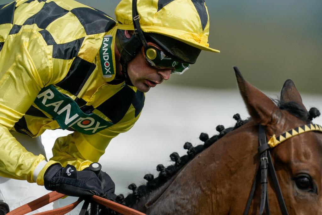 Sir Gino, la apuesta más experta para Newbury: sábado 8 de febrero