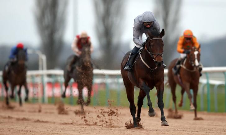 Sábado 2 de noviembre: Apuesta por Sardinian Warrior en Southwell