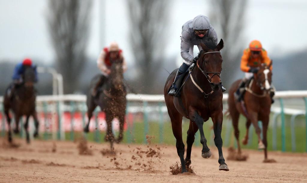 Sábado 2 de noviembre: Apuesta por Sardinian Warrior en Southwell